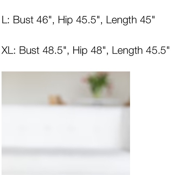 ⭐️EMERSON FRY RY  SHIRTDRESS NWT⭐️ - Picture 12 of 13